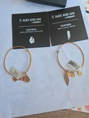 Alex and Ani Bracelet Set Ladybug & Feather Gold Tone Charm Bangle Gift Box